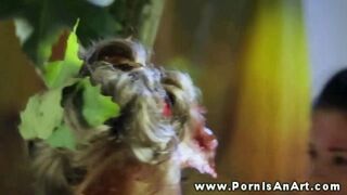 Dupla forró csaj nyaldosja a punciját a szabadban